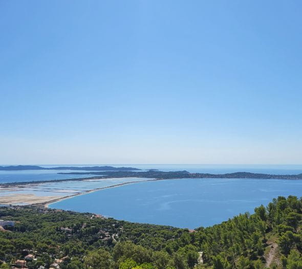 Um Ihre Fragen zu beantworten Die FAQ