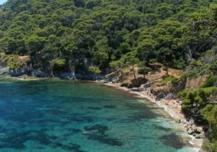 Strand „Darboussières“